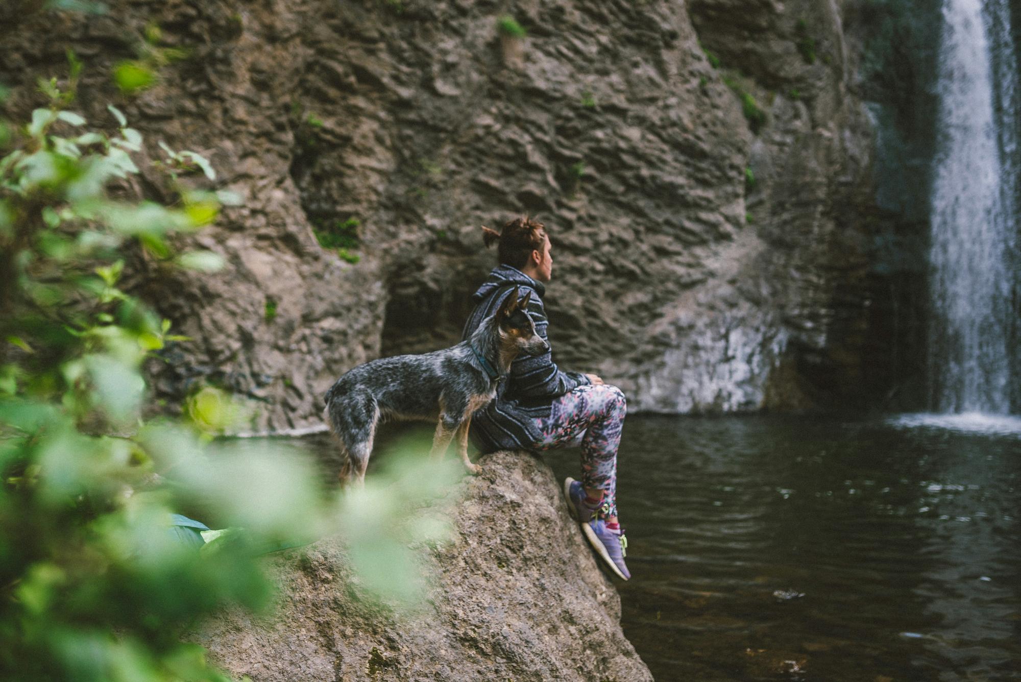 A family spending time with their dog