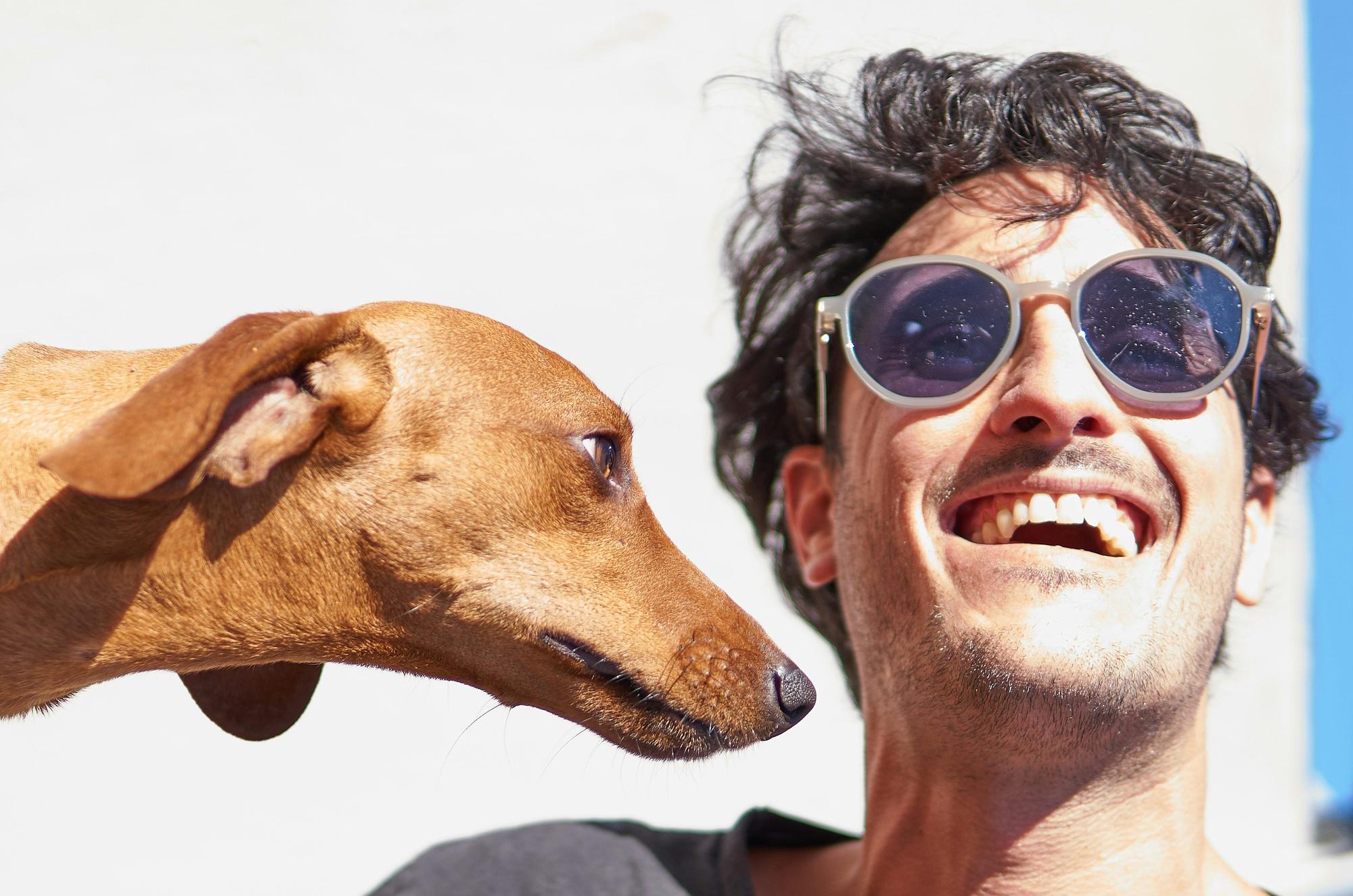 An owner thinking through an important decision about their dog